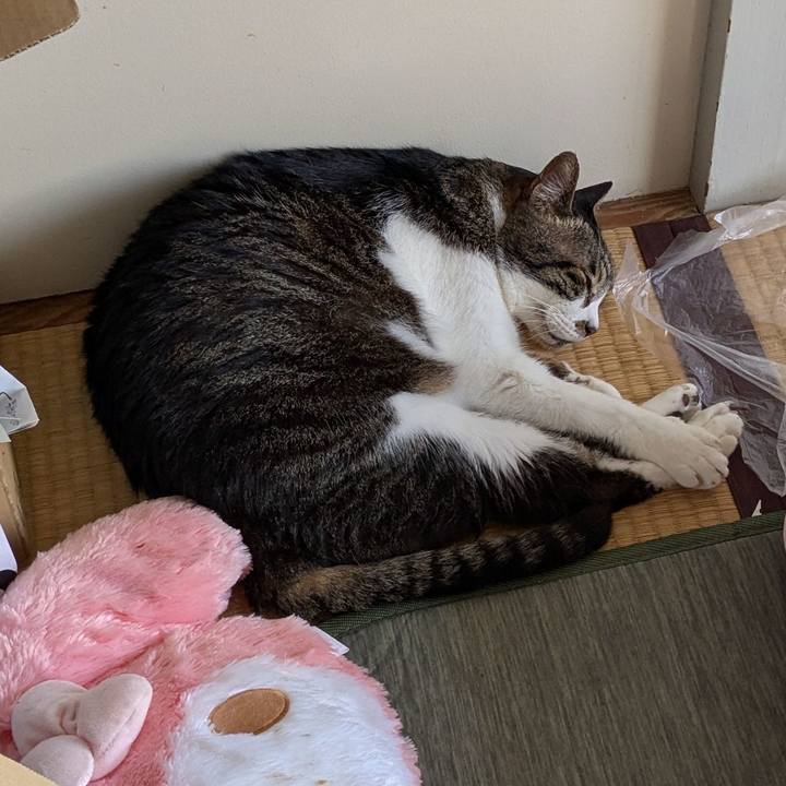 Db6790f1 1e41 4dcb bb02 ac6b510152a7 1750161714791