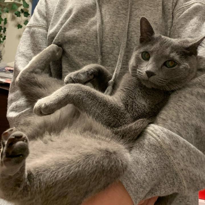 Db6799e4 bb5e 4595 badd 553178ee6196 1583317635585