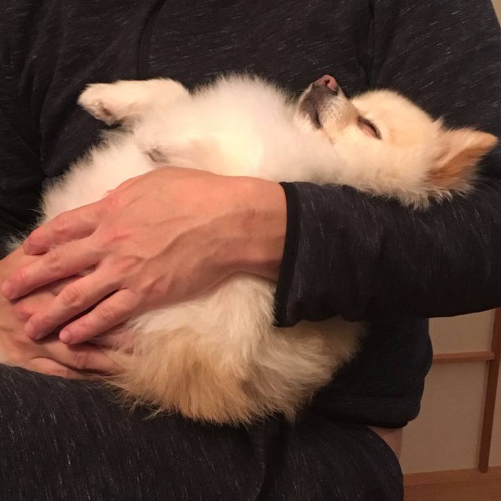 Db67bcbd d930 414a 899f ee5bf4bb24fc 1577362400733