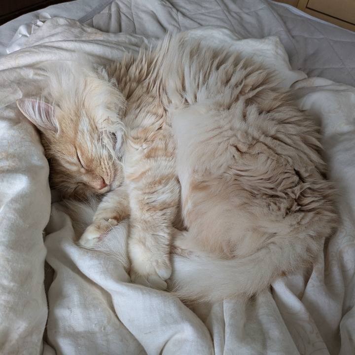 Db67c354 7c6b 4d41 badd 84538793bc58 1746837178042