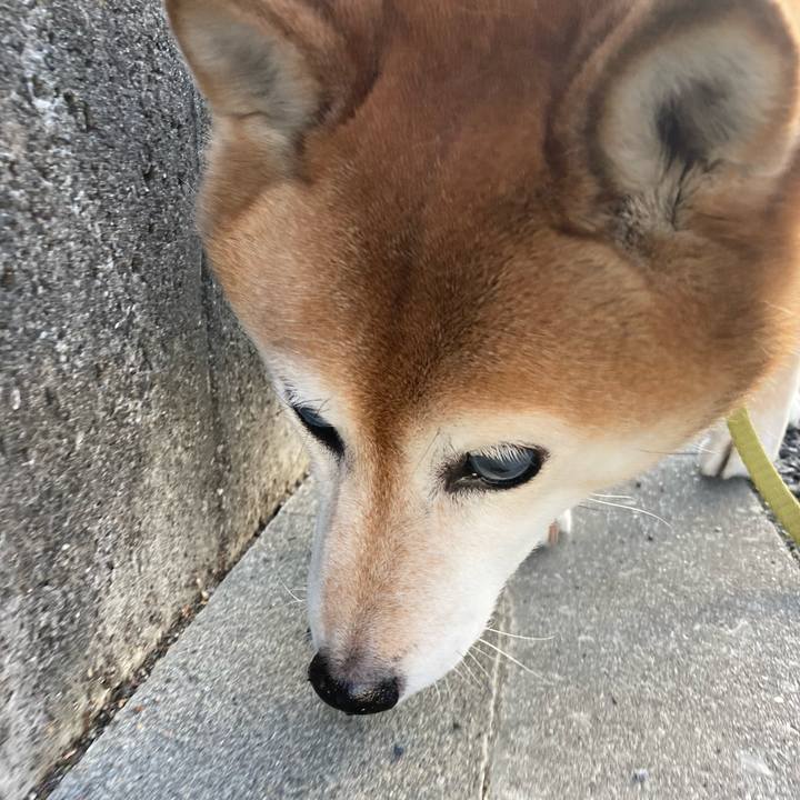 Db67c42b 3f78 4bf8 b65b d04fba9bdf7c 1709464693181