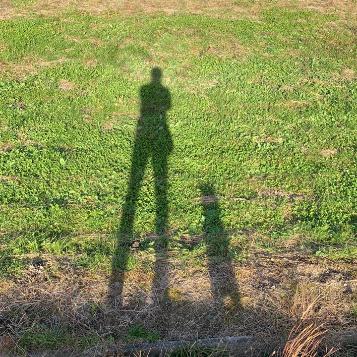 Db67e0d0 3d2a 4e95 a4c8 64b72e284c31 1573721971026