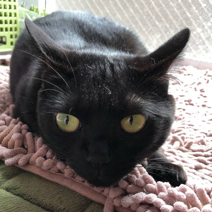 Db67f184 77ab 4c88 87d6 b0eb71488792 1530243616576