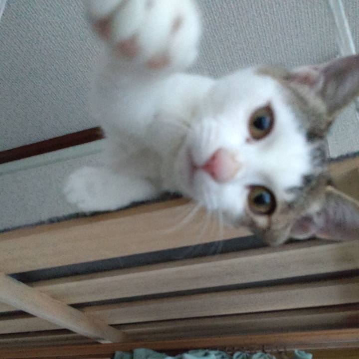 Db67fed9 b07b 4ca1 8302 dbd048aebd30 1642222625885