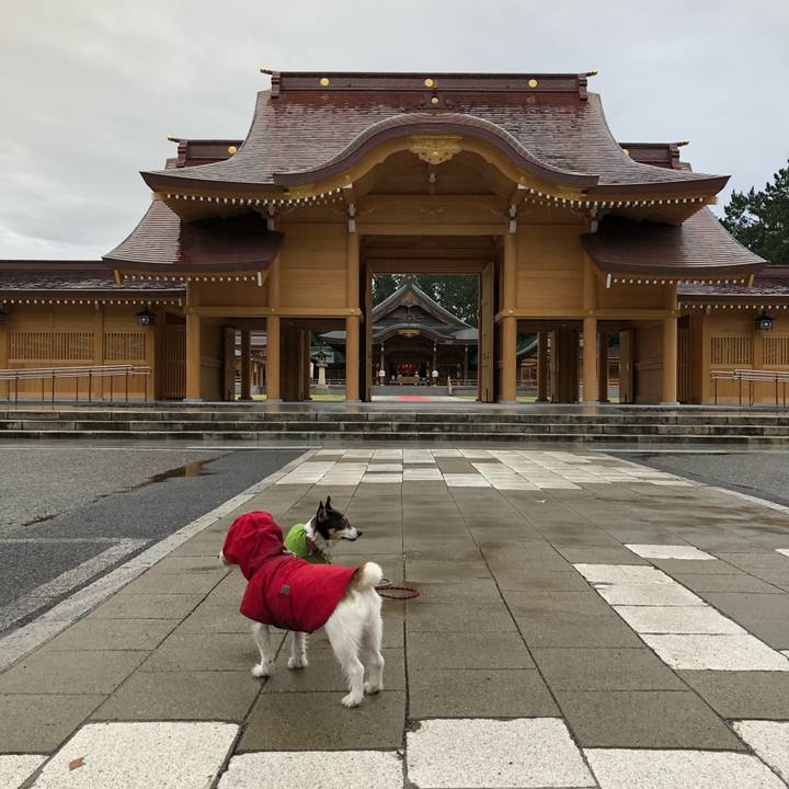 Db6813c2 c798 4840 b358 52247e7098e3 1540597908149