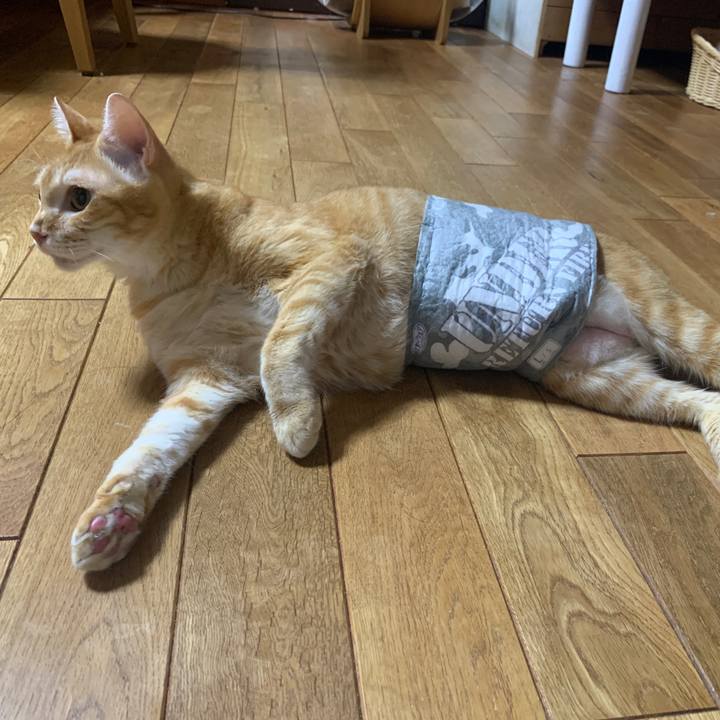 Db683e80 77fe 4f5a bf7c 8f5c4fd22324 1665578850547