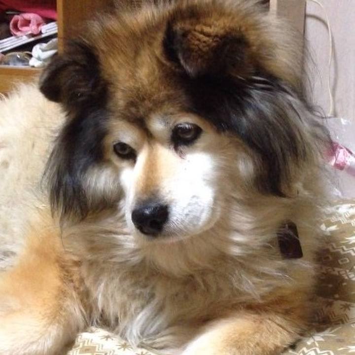 Db686904 1b18 4369 b07c 571497af9653 1588049986438