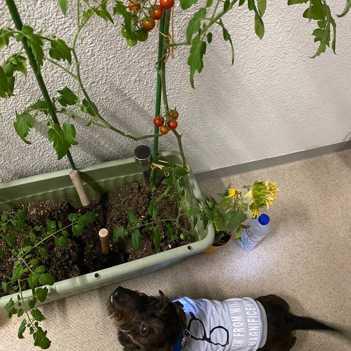 Db687cee 353c 4dee 8e65 220a90f06897 1593356899822