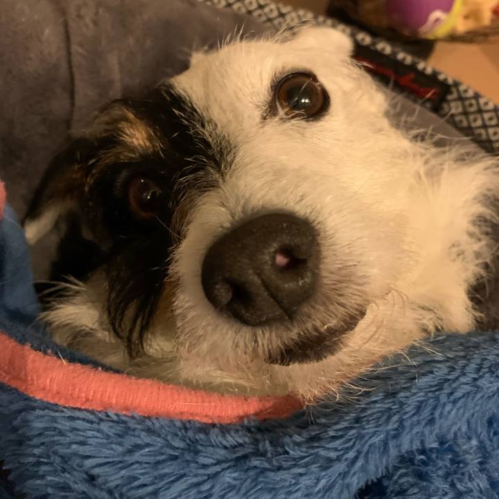 Db68b69e c15f 4e59 9392 8c8db0406998 1619616173935