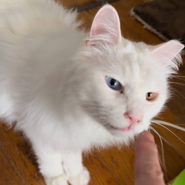 Db692aed 6d61 45f2 828f dfd40bcb3e5c 1733009917800