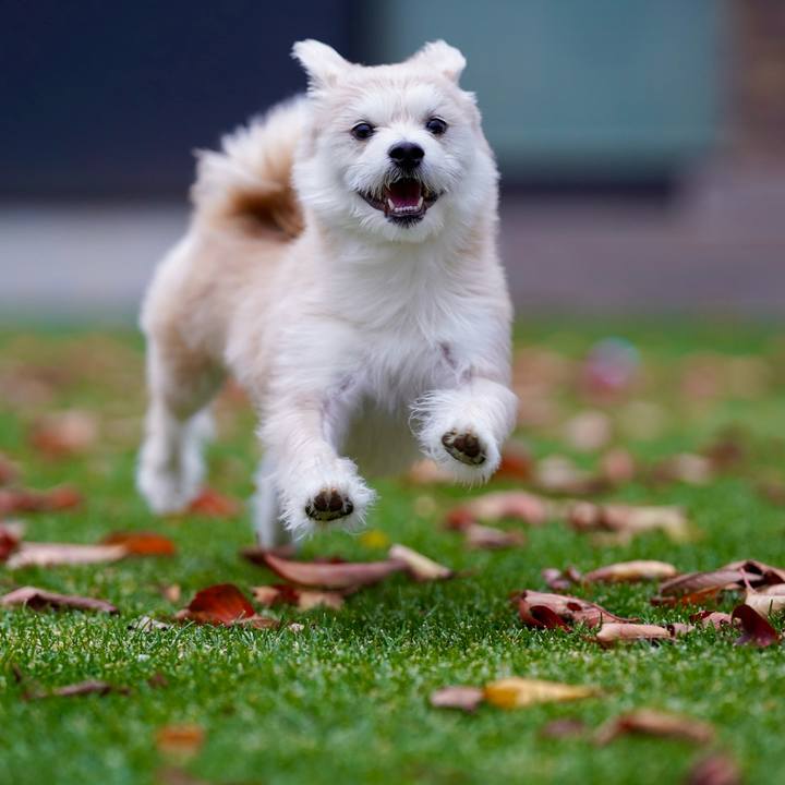 Db692f7c 2c0b 4d39 9685 c6b16d864d1e 1763119110930