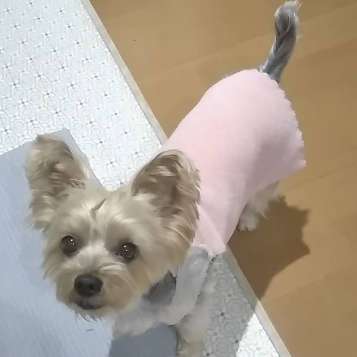 Db698afd 78c7 4f9f 99ad ad72096b5f3e 1702434438980