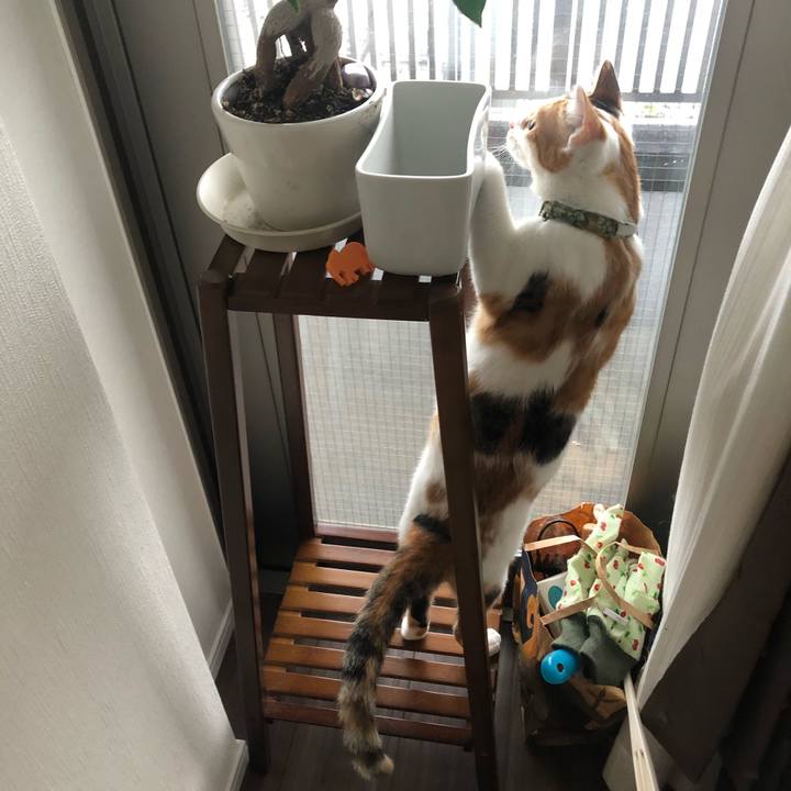 Db699280 c69c 4457 9125 e6956b02ccde 1595657206842