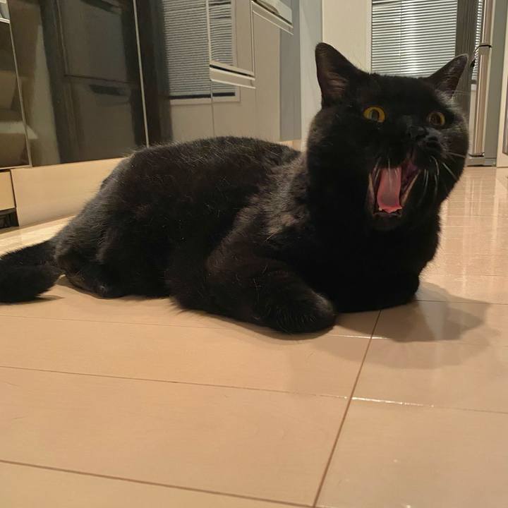 Db699905 e90f 4dfc b32f 23a4c2afd35d 1723983640772