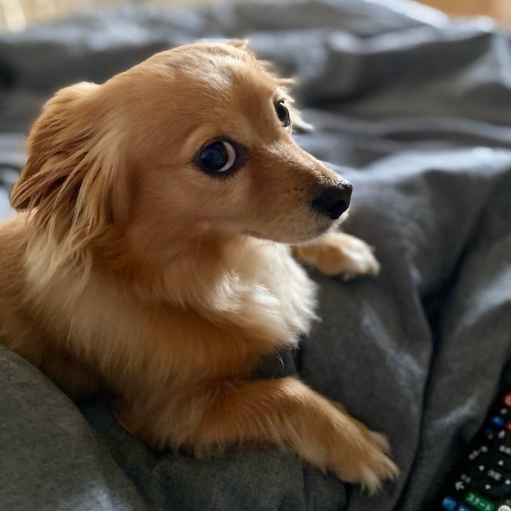 Db6a0753 4f53 491c a6a9 dc172770f8f0 1620689597752