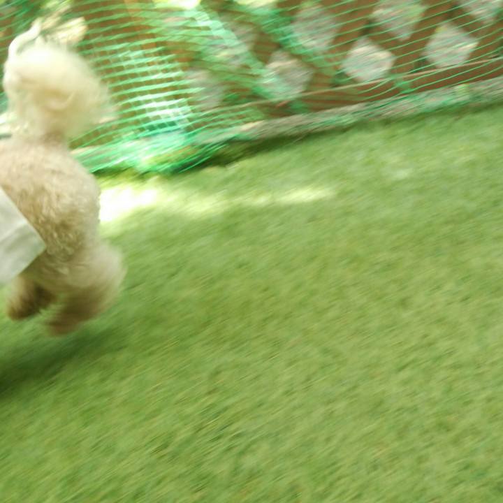 Db6a42da 8344 4979 aaf8 39d9c0207d5e 1527591604051