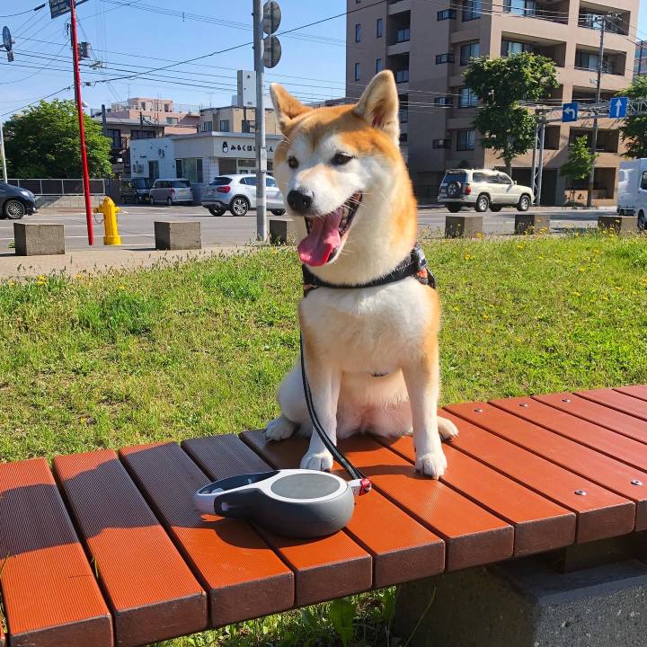 Db6a47cd 5906 4d0e bcc9 c1378d0b6b81 1593995966652