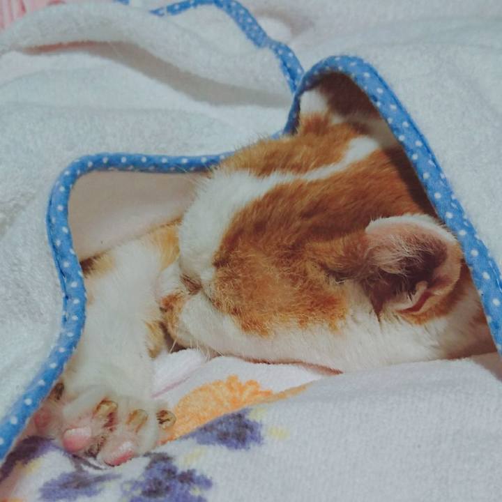 Db6a4c35 cc31 49c1 b18c c7572dfb031a 1546509532788