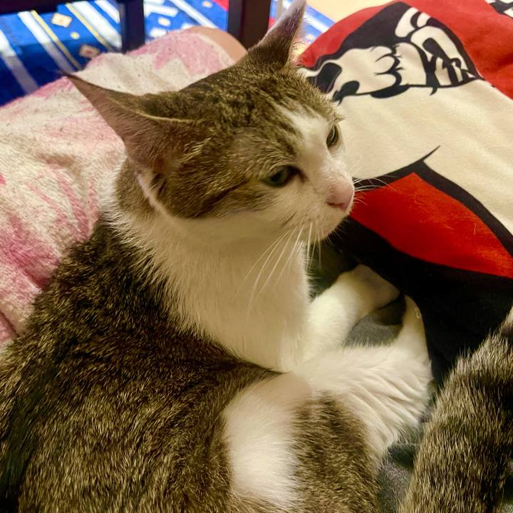 Db6a576d 6c57 4702 96fd 8345a2639947 1629030492381