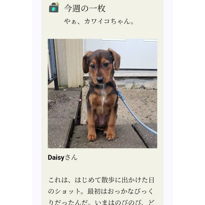 Db6a5def 6b5f 406b 9c25 9279fd5b5a91 1762916409256