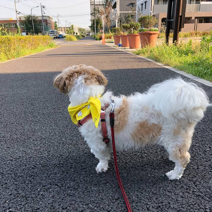 Db6abab7 e822 4498 9213 a47b497063e2 1532381956227