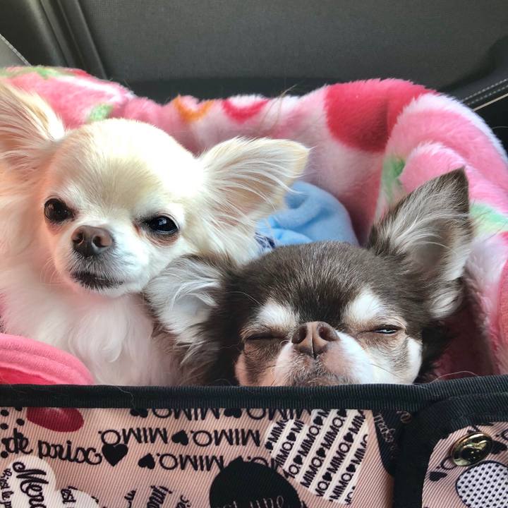 Db6ace34 a8c0 4d55 b07d 847298a6e34e 1548139573970