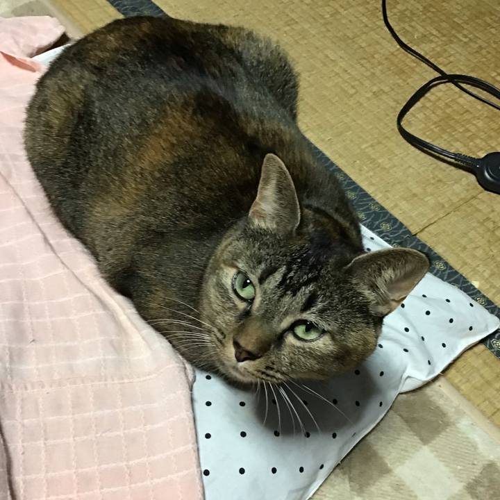 Db6b5049 d2bf 4ed4 a9e1 e36f3b0b6879 1668165876001