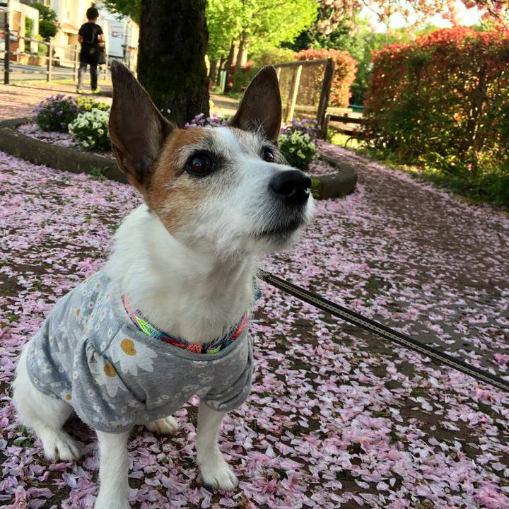 Db6b5121 244d 4990 955b 6ea4c2993697 1650671919619