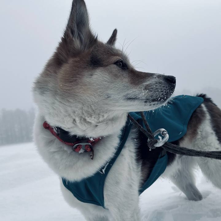 Db6ba42d f808 4e9e 8148 9fbff7c23a8a 1772581154344