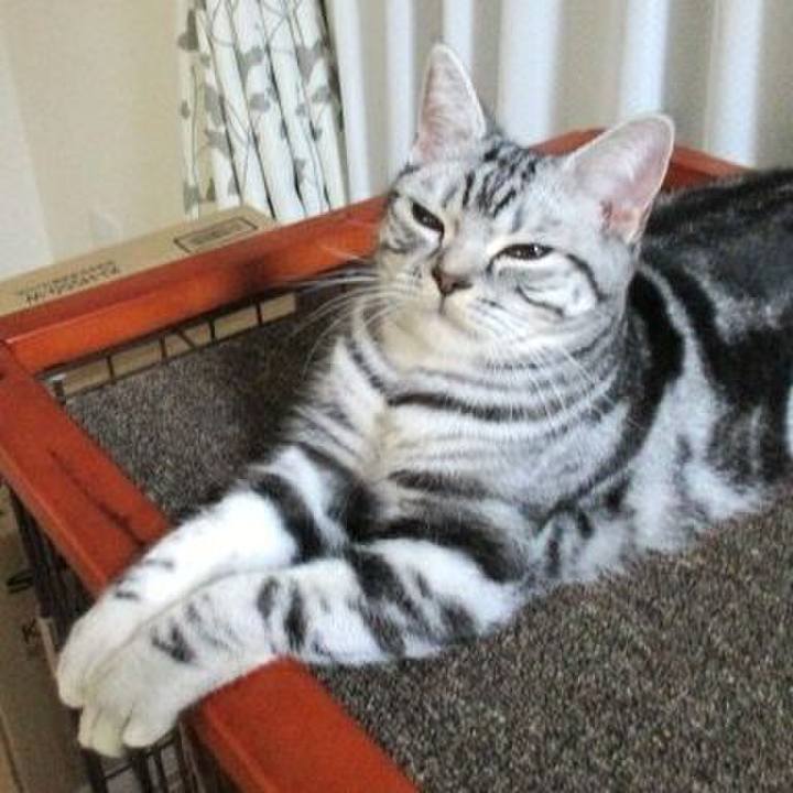 Db6ba833 80dd 4a41 ad9c 99d428eaea8e 1543401834781