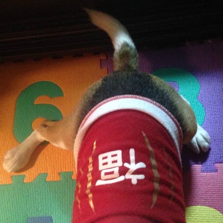 Db6c29f4 a09a 42a6 aa16 c3d20c04354e 1730500551051