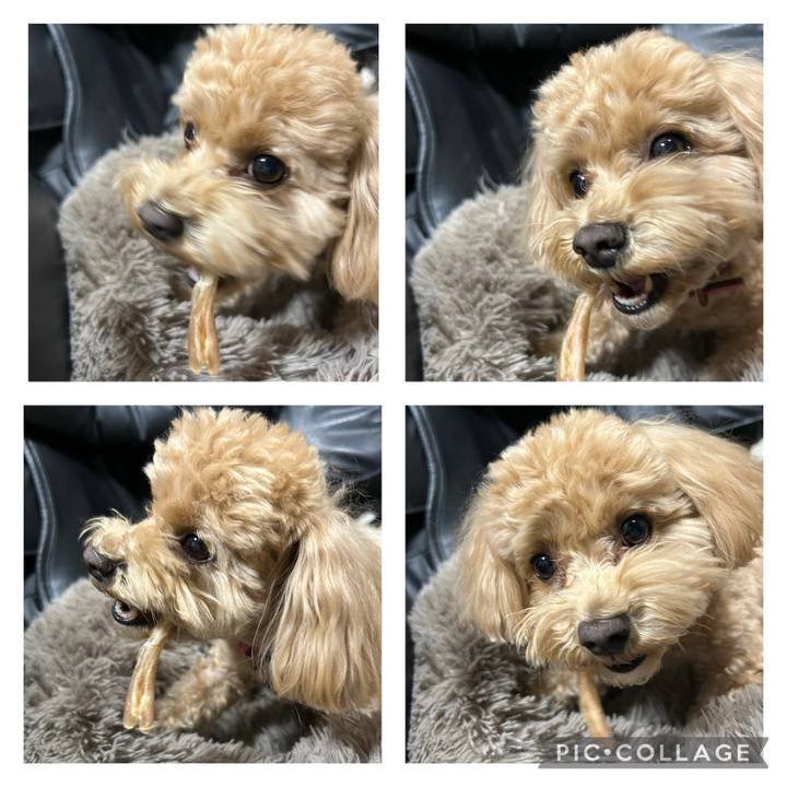 Db6c2ddb db21 438d 923f 7305fcf012d7 1736292272003