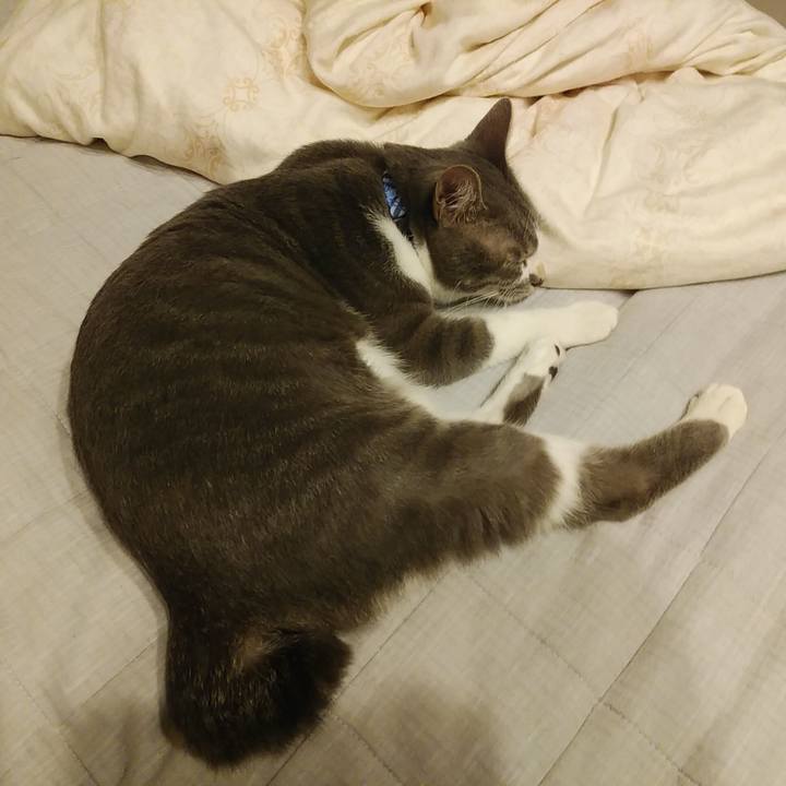 Db6c86ee 2bb6 4afc 9442 57f024f8f605 1594993244390