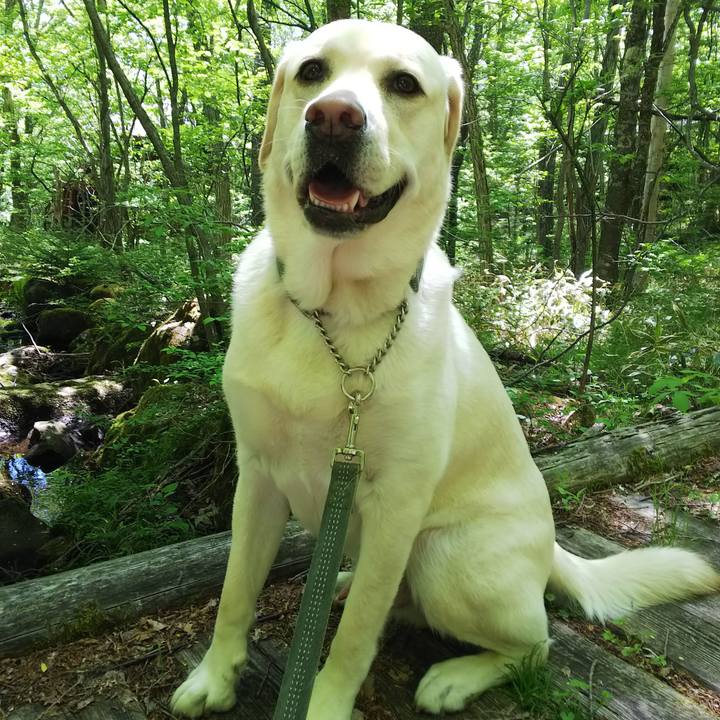 Db6c883c fc4e 4f56 8a8c e8b9571158d3 1527993348559