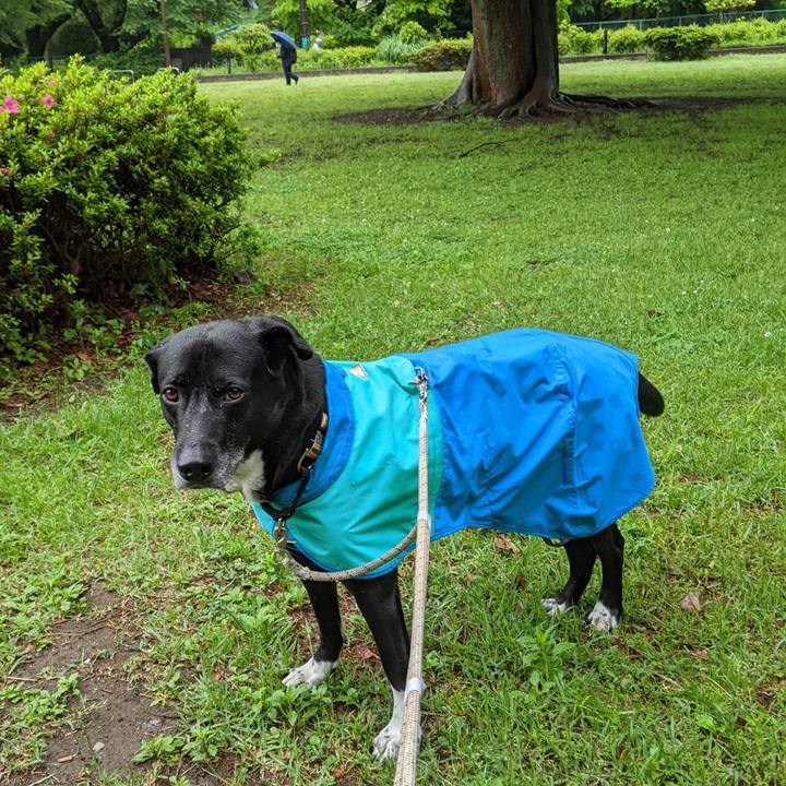 Db6c9b00 ea59 4e8c a2b0 c15d60658347 1683505437092