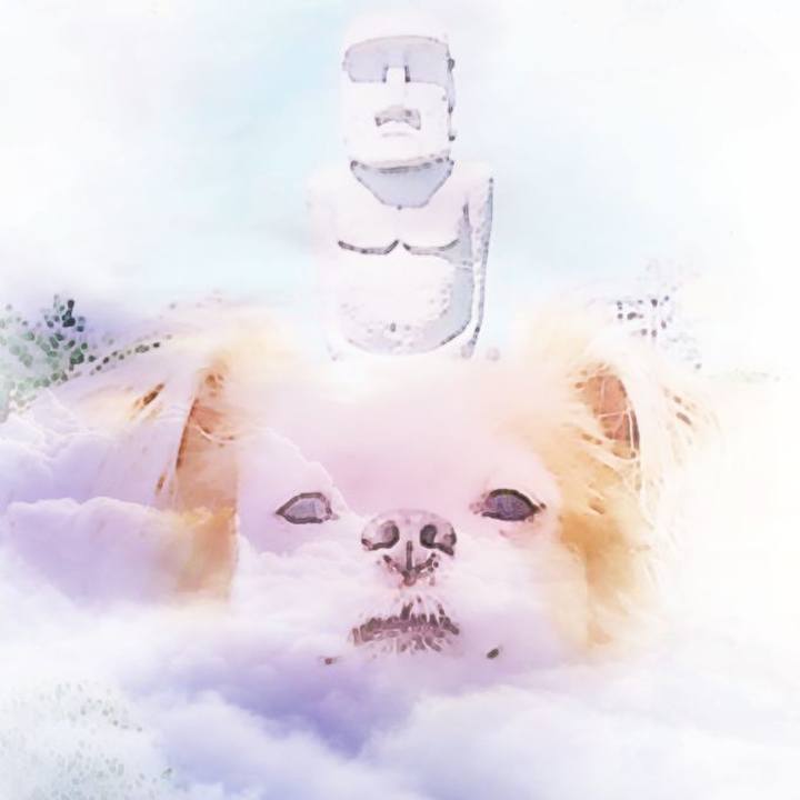 Db6ca001 c8e5 4f5a 8fe7 5fcec77da114 1509535426311