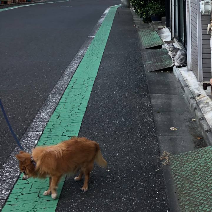 Db6cd9e6 e440 4e05 8009 e41fd10c0298 1575205920854