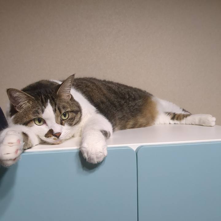 Db6cef24 cefa 4341 b6ed 28bd4d8de1cf 1754873778582