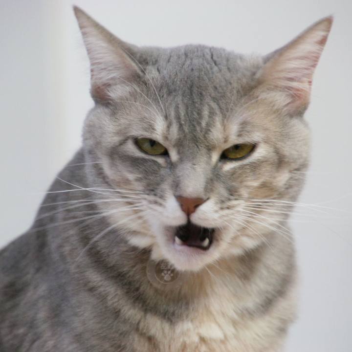 Db6cf203 63ad 4345 afbe 7288b4a624ec 1516238350452