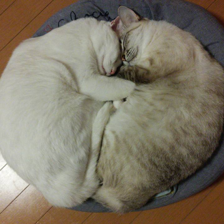 Db6d01d2 3866 4711 87d6 ec1f16e2c859 1509891021114