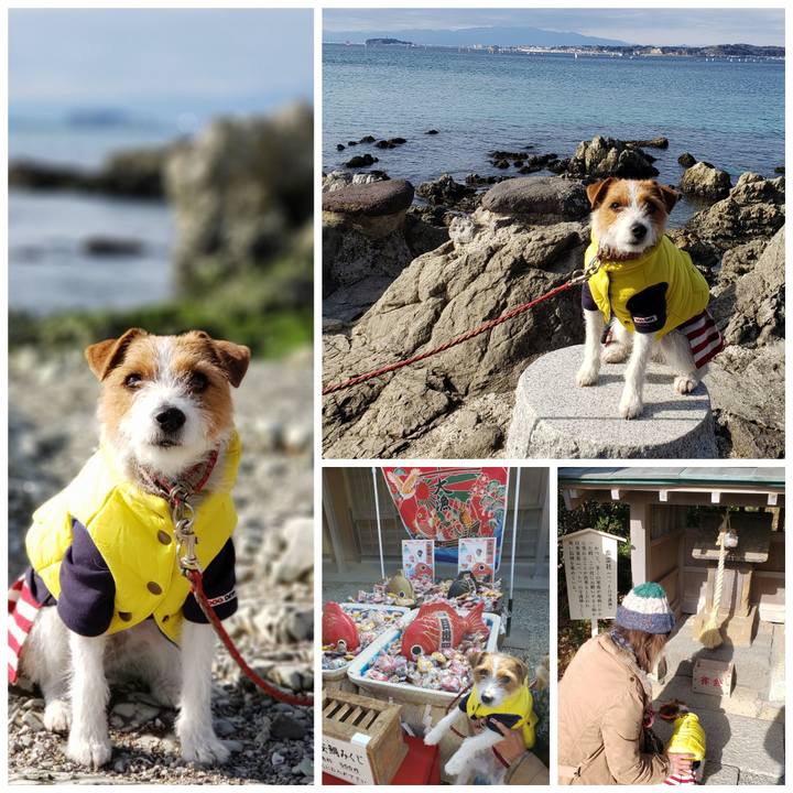 Db6d0e70 69da 4e3b 94a2 8bd9705f6f00 1549786798561