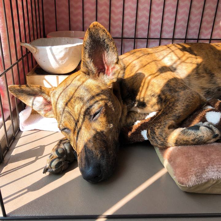 Db6d3793 7baa 4688 bc7d 82e83ff6203d 1580615591491