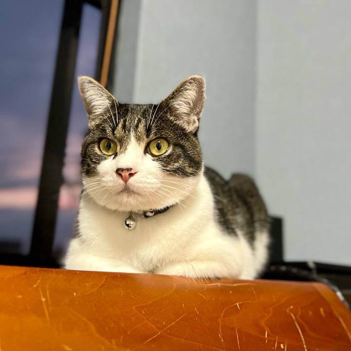 Db6d4c77 f3e3 4082 b3bc 46ad0dbcd6d2 1760272897857