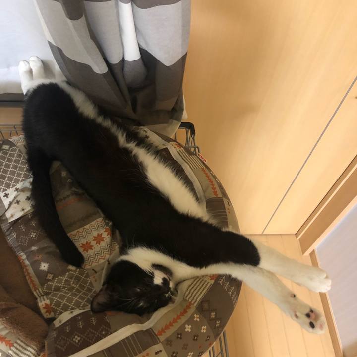 Db6dcc6e a4d5 4d91 9891 0459fca47952 1576744373464