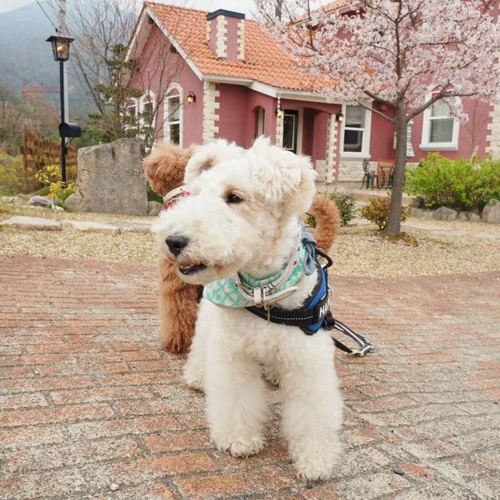 Db6dcdc5 14ca 4c28 bd4d d0bca060ebad 1522981150921