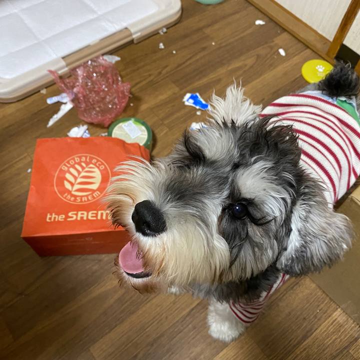 Db6df3b3 f73a 4f7c 9e26 3489d526eb36 1577375064674