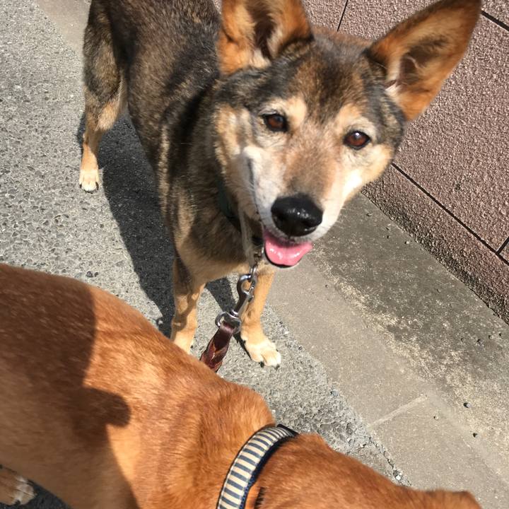 Db6e05d4 b7e9 46d2 be53 23e303a80c84 1525055405955