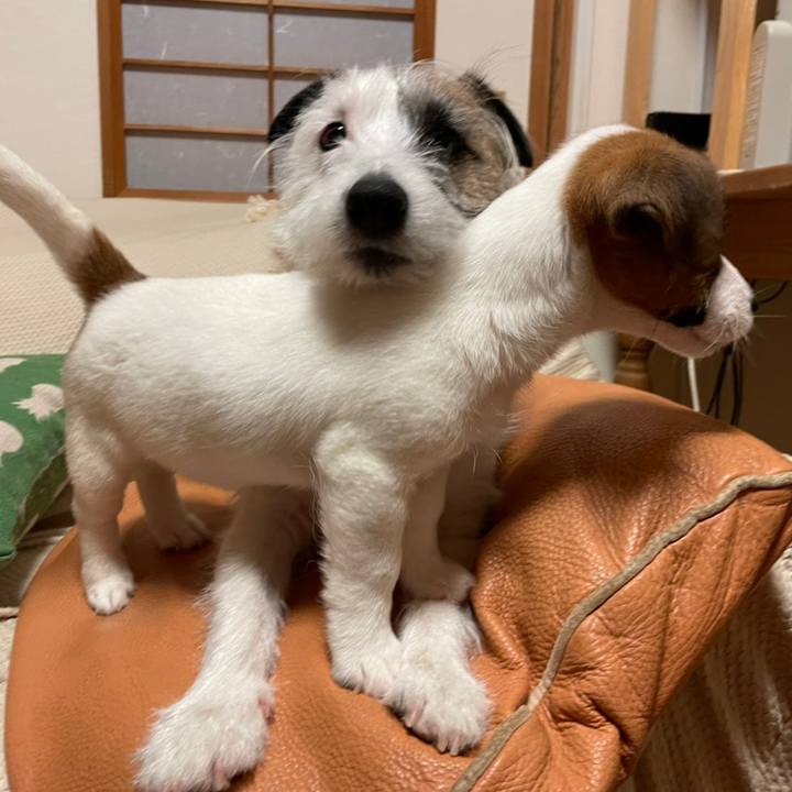 Db6e1474 53fc 4287 9483 b00f0cef22bd 1616066006856