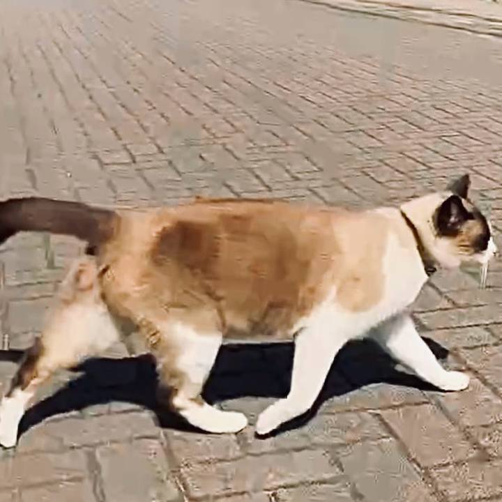 Db6e6ace 1e55 4f20 abc7 f2c67836bbb5 1742629334007