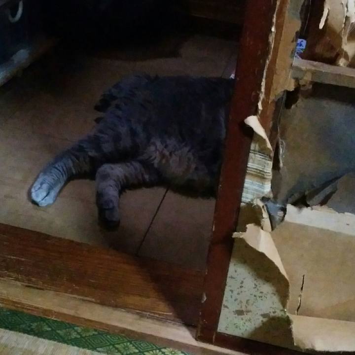 Db6e72ea bbf1 4c01 a612 6c074f0d7464 1526579041124